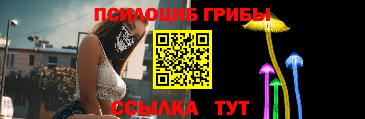 Псилоцибиновые грибы прущие грибы  Вход с VPN  купить наркотик  Жигулёвск 